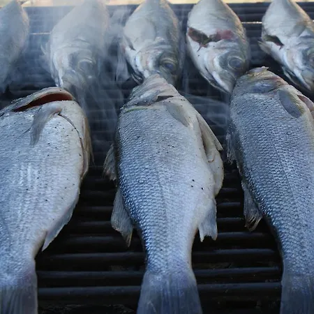 Tonka * 马卡尔斯卡