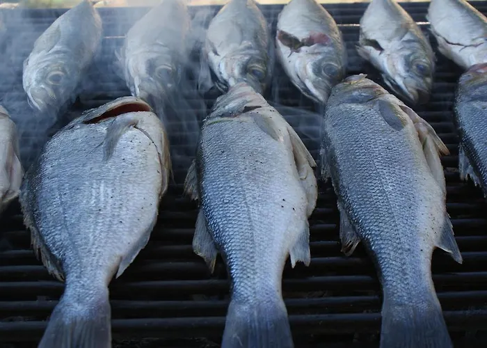 Tonka * מאקרסקה